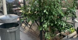 Casa de Comidas en Venta en Recoleta – Muy buena Ubicación